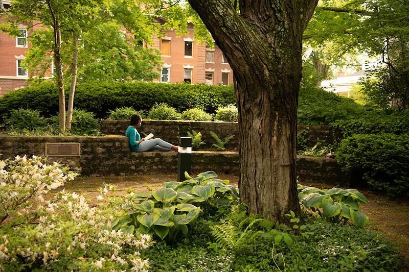 A student sits in 沃尔夫花园 studying, surrounded by lush greenery 和 lanscape