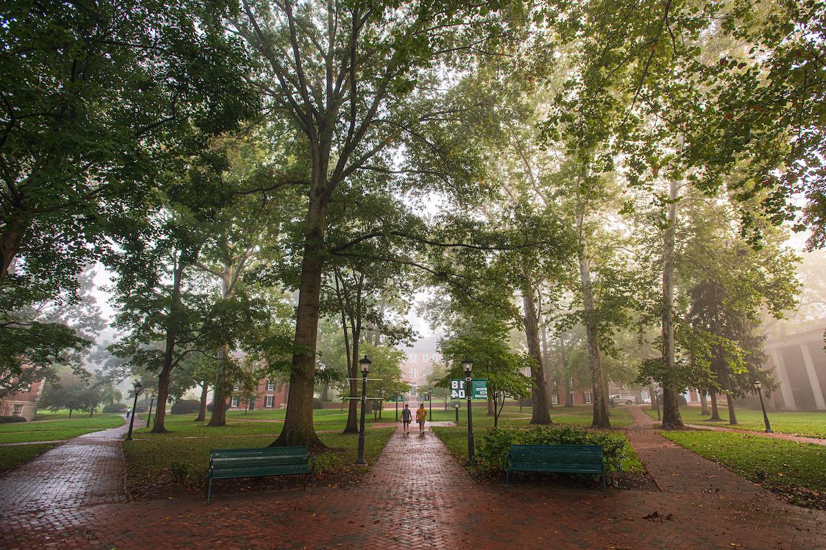 大学绿色 on newbb电子平台's 雅典 campus, with fog in the background